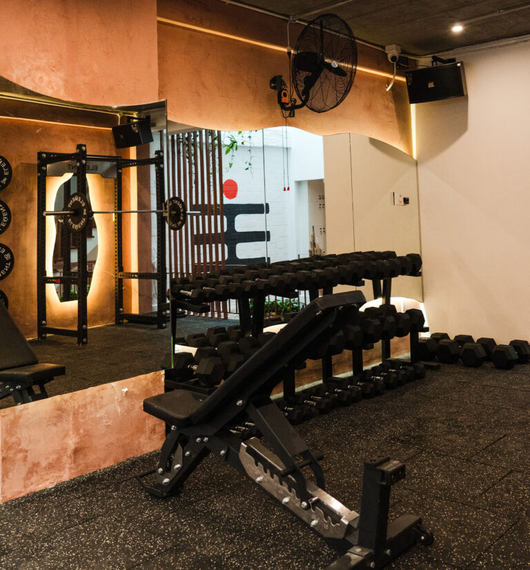 Selection of great hand weights and bench with great long mirrors